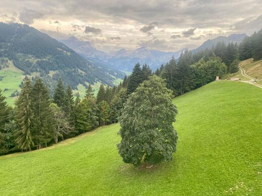 Gstaad