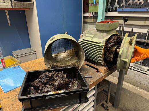 Zu viel des Guten Fettes